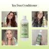 Tea Tree Conditioner for Dry Hair - Tea Tree Oil Conditioner for Oily Hair and Sulfate Free Conditioner for Dry Hair - Cleansing Conditioner and Tea Tree Dry Scalp Care with Tea Tree Oil for Hair view 2
