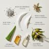 Jericho Cosmetics Hand Cream  Moisturizing & Nourishing with Aloe, Olive Oil & Dead Sea Salts  Hydrating Formula with Witch Hazel & Vitamin E  Non-Greasy, 3.4 oz view 3