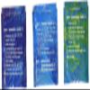 Zydot Ultra Clean Detox Shampoo & Conditioner Kit view 2