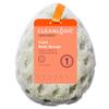 Cleanlogic Foam Sea Sponge view 1