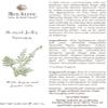 BeeAlive Spa Essentials Royal Jelly Serum (All-Natural) view 2