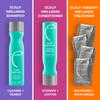 Malibu C Scalp Wellness Collection - Soothing Shampoo and Conditioner Hair Care Set for Dry Scalp - Formulated with Vitamin C Antioxidant Complex - Travel Size Scalp Remedy Packets Included (33.8 oz) view 4