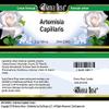 Bianca Rosa Artemisia Capillaris Cream (2 oz, ZIN: 523853) - 2 Pack view 3