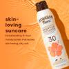 Hawaiian Tropic Sunscreen Silk Hydration Moisturizing Broad Spectrum Sun Care Sunscreen Spray - SPF 30, 6 Ounce view 4