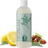 Clarifying Shampoo for Oily Hair and Scalp - Degrease Deep Cleansing Shampoo Build Up Remover with Rosemary Oil for Greasy Hair & Scalp - Vegan Color Safe Sulfate Paraben & Cruelty Free (12 Fl Oz) view 1