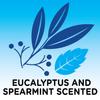 Amazon Basics Epsom Salt Soaking Aid, Eucalyptus Scented, 3 Pound (Previously Solimo) view 3