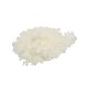 Fizz & Bubble Premium Lip Scrub for Exfoliating, Moisturizing, and Repairing your Lips (Mint Mojito) view 4