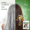 BIOGREEN ROOTS Ammonia-Free & Paraben Free Herbal Hair Shampoo - Hair Dye Shampoo for Women & Men - Natural Color & Herbal Nourishment - No Stain on Skin - Dark Brown (10 sachets x 25ml) view 3