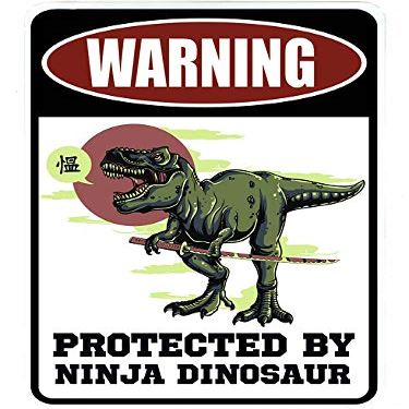 Protected by Ninja Dinosaur - Metal Sign for Your Garage, Man cave, Yard or WallF