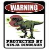 Protected by Ninja Dinosaur - Metal Sign for Your Garage, Man cave, Yard or WallF view 1