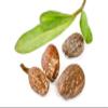 Perfect Body Harmony Certified ORGANIC RAW SHEA NUT BUTTER (African). 3.75 oz. Unrefined Natural Moisturizer. view 3