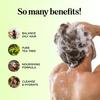 Tea Tree Shampoo and Conditioner Set - Sulfate Free Clarifying Shampoo and Conditioner for Oily Hair & Scalp Care with Australian Tea Tree Oil - Complete Dry Scalp Treatment for Build Up (8 Fl Oz) view 2