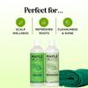 Tea Tree Shampoo and Conditioner Set - Sulfate Free Clarifying Shampoo and Conditioner for Oily Hair & Scalp Care with Australian Tea Tree Oil - Complete Dry Scalp Treatment for Build Up (8 Fl Oz) view 3