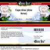 Bianca Rosa Cape Aloe (Aloe ferox) - Salve Ointment (2 oz, ZIN: 514691) view 3