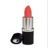 Gabriel Cosmetics Lipstick (Santa Fe- Pink Orange/Warm Crme) view 3