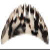 France Luxe Classic European Side Comb - Ivory Tokyo view 2