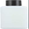 H-24 Conditioner Phase 2 Biotene (250mL) Brand: Mill Creek view 4