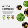 Fruits & Passion [Cucina] - Coriander & Olive Tree Hand Soap, Kitchen Liquid Hand Soap, Vegan, Natural Moisturizing Hand Wash in Glass Hand Soap Dispenser (16.9 fl oz) view 2