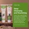 Forever Living - Aloe Jojoba Shampoo - Twin Pack view 3