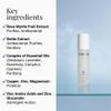 G.M. COLLIN Puractive+ Purifying Mist | Purifying Spray Mist for Oily to Acne-Prone Skin | Provides a Matifying Effect and Leaves Skin Feeling Fresh view 2