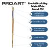 Pro Art Brush White Bristle Round #12 view 2