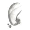 Well People Plant Powderfoliant Renewing Charcoal Exfoliating Powder, Exfoliant For Brightening & Softening Your Complexion, Vegan & Cruelty-free view 2