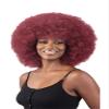 Freetress Equal Synthetic Wig - Afro - Large - 1 view 1
