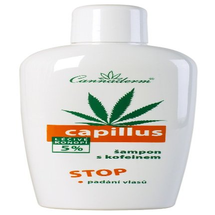 Anti Hair Loss Shampoo for Men