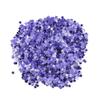 StarGazer Glitter Stars - Purple view 2