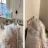 Caboki Hair Loss Concealer. All-Natural Hair Building Fiber. Make Thin Hair Look 10X Fuller Instantly. Eliminate the Appearance of Bald Spot and Thinning Hair (30G, 90-Day Supply). Silver/White view 4