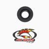 All Balls Double Lip Seal [Special] (30-6401) view 1