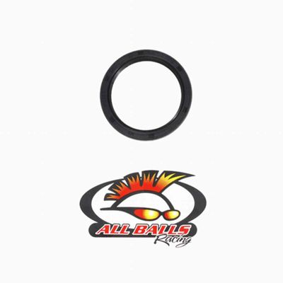 All Balls Double Lip Seal (30-7004)