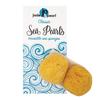 Sea Pearls- Reusable Natural Sea Sponges, Classic Medium 2 Count view 1