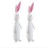 2 Blush Cheek Bunny White view 1