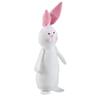 2 Blush Cheek Bunny White view 2