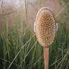 Croll & Denecke Bath Brush with Natural Bristles, 43 cm, Brown, Gentle Exfoliation, Deep Cleansing, Reach Difficult Areas, Versatile Usage view 3