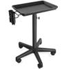 Saloniture Aluminum Salon Instrument Tray with Caddy, Heavy-Duty Rolling Base view 1