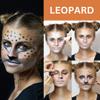 Mehron Makeup Premium Character Kits| Makeup Kits for Halloween & Cosplay| Made in the USA | Complete Kit | Includes all Tools & Instructions on How to Create the Look | (Feline/Cat) view 4
