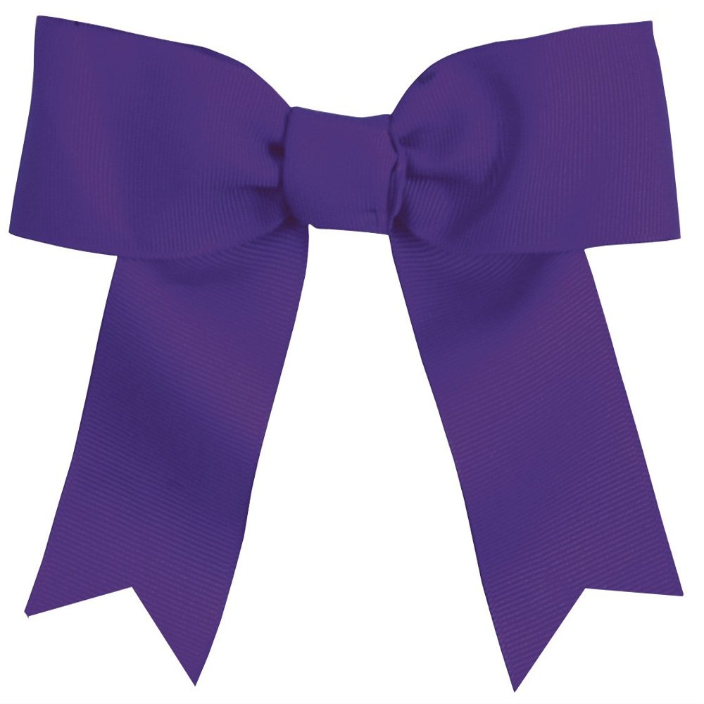 Hair Bows Purple
