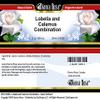 Bianca Rosa Lobelia and Calamus Combination - Salve Ointment (2 oz, ZIN: 513026) view 3
