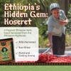 Brundo Market Koseret | Ethiopian Butter Clarifying Herb | Made in Ethiopia | Non-GMO | Organic | Imported from Ethiopia, 2 Ounce (Pack of 1) view 2