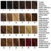 Bohyme Hand Tied Body Wave 14" (Darkest Brown 2) view 3