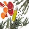 Aromatherapy Associates Revive Body Oil. A Luxurious Oil for an Energized and Nourished Body. Essential Oils Promote Healthy Micro-Circulation and Soften Skin (3.4 fl oz) view 3