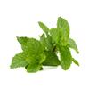 OliveNation Peppermint Oil 16 ounces view 2
