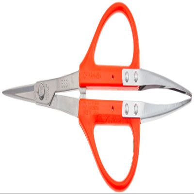 Closest Positive (chikamasa) Stainless Steel Grape Scissor U-shaped Tweezers with Large B 300SU