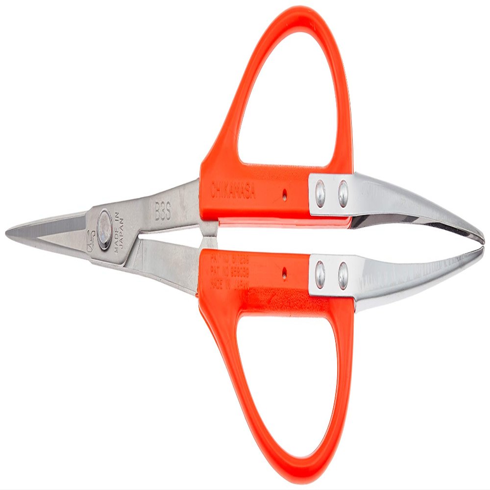 Closest Positive (chikamasa) Stainless Steel Grape Scissor U-shaped Tweezers with Large B 300SU