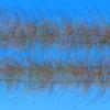 Root Beer Foxy Brush 1.5" by EP Flies view 1