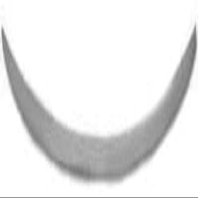 Diederichs 1216261 Rear Lip