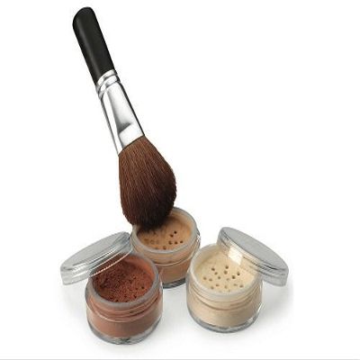4pc KIT w/FACE BRUSH (FAIR 2) Mineral Makeup Matte Foundation Set Bare Skin Sheer Blush Illuminating Finishing Powder Cover