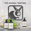 ENVIRONMENT Inspired by 5-Star Resort WN Lotion, 300ml Luxury Scented Lotion (Jasmine | Green Melon | Lily) Bathroom Luxury, Men & Women High-End Body Lotion, Hand Cream, Dry Skin Treatment view 3